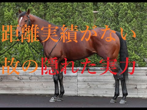 高松宮記念 2023 スプリンターを狙えば負ける！？別路線組の伏兵に妙味あり グレナディアガーズ ロータスランドの好走パターン