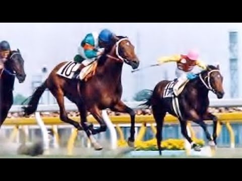 第５１回　東京優駿（日本ダービー） （ＧⅠ）　シンボリルドルフ　牡３　57　岡部幸雄　1984.5.27　　出走馬：スズマッハ、フジノフウウン、スズパレード、ニシノライデン、ビゼンニシキ他