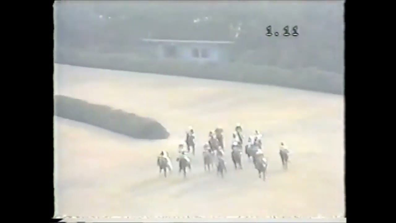 第１回　マイルチャンピオンシップ （ＧⅠ）　ニホンピロウイナー　牡４　57　河内洋　1984.11.18　　出走馬：ハッピープログレス、ダイゼンシルバー、シャダイソフィア、ヤマノシラギク他