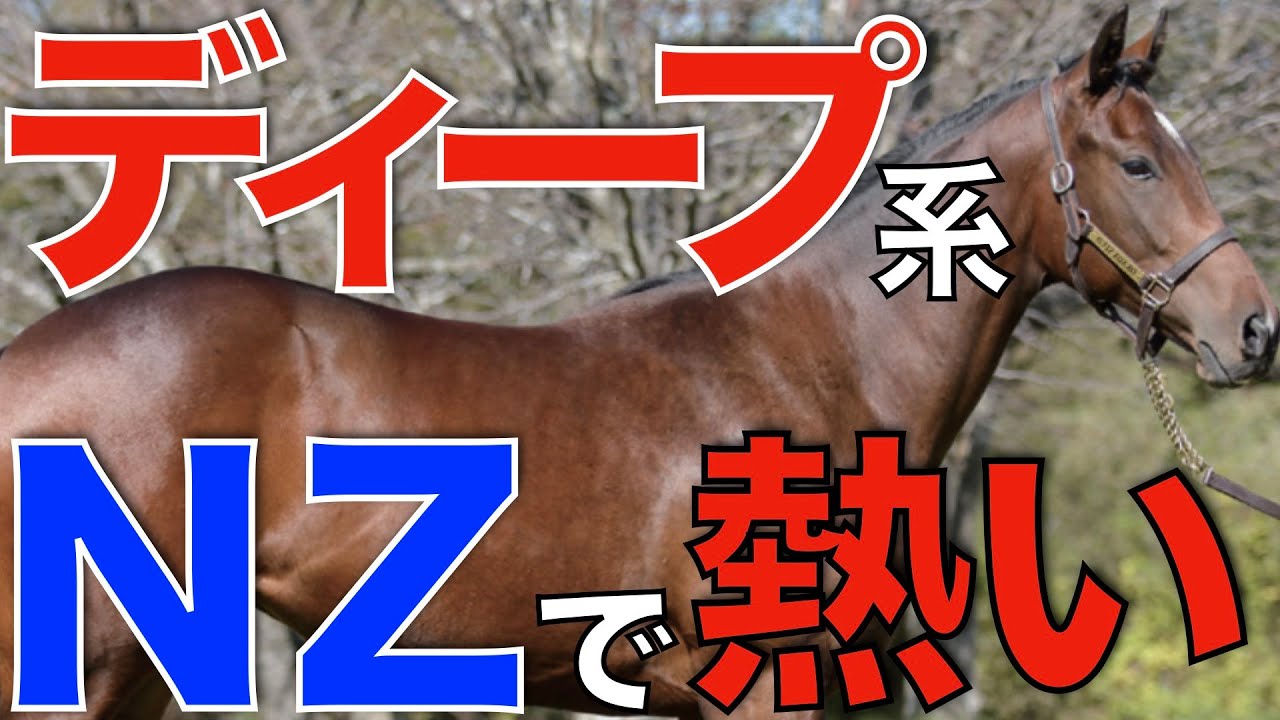 【流行りそう】サトノアラジン産駒がニュージーランドで超重要G1勝ち！ディープ系の人気沸騰か。