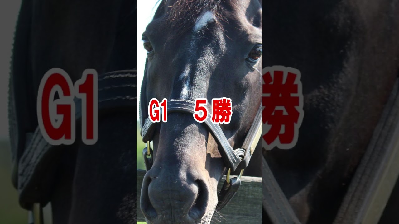 【爆笑】ステイゴールドは実はダービー馬だった