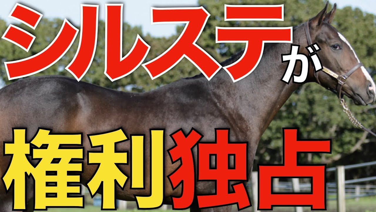 【偉業】シルバーステート産駒がクラシックの権利取りまくり！100万円でこれは凄すぎる。