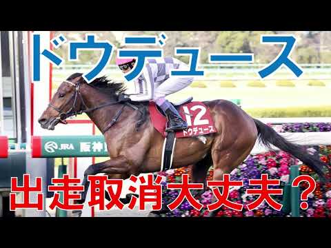 ドウデュース　ドバイターフ出走取消について解説します