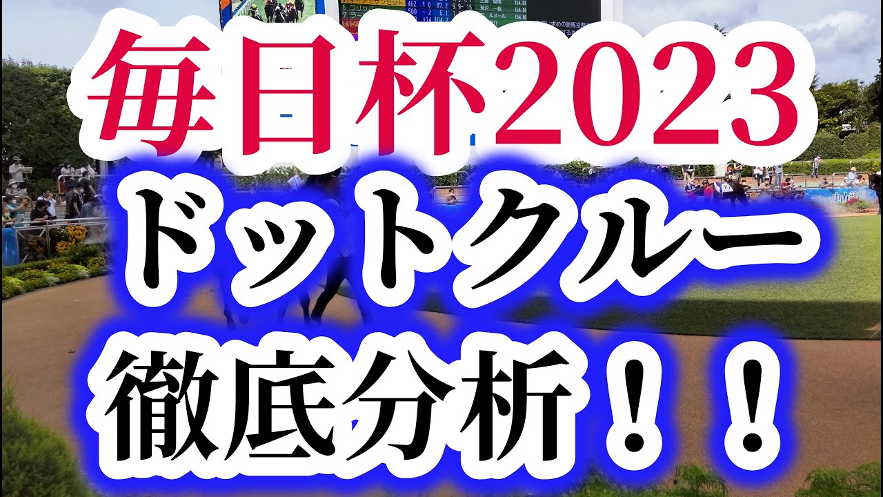 【ドットクルー】【毎日杯2023】レース回顧とデータ分析で徹底分析！！