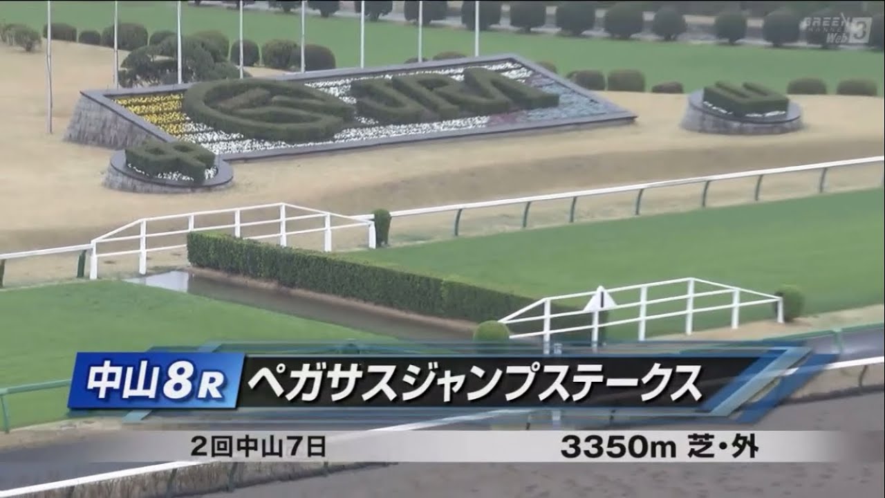ペガサスジャンプステークス［2023.3.18 中山第8R/3350m 芝］
