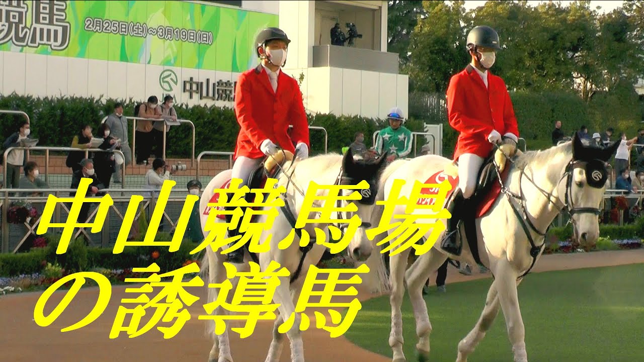 中山競馬場の誘導馬