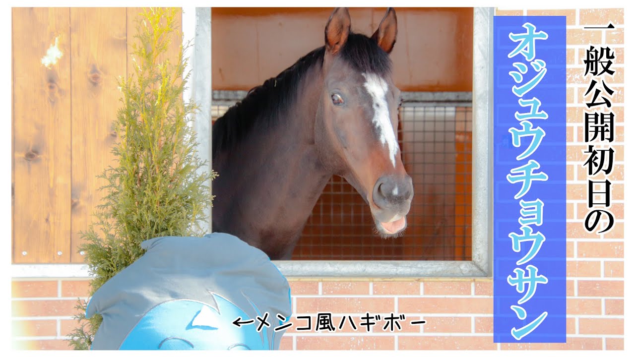 【一般公開初日のオジュウチョウサン】　2023年3月5日Yogiboヴェルサイユリゾートファーム撮影