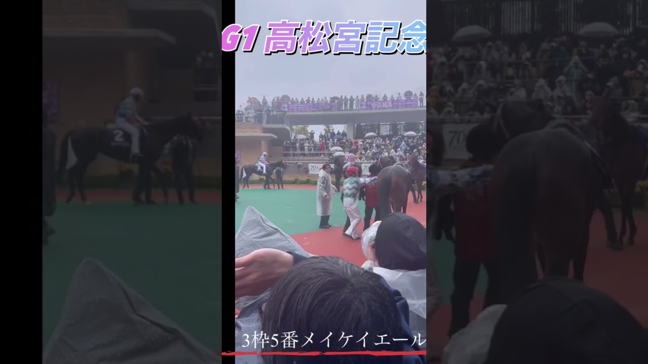 #高松宮記念2023 #スプリンターズs  #セントウルステークス #メイケイエール #馬　#スプリンターズステークス # パドック　#競馬 #短距離