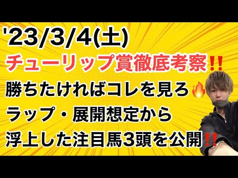 チューリップ賞徹底考察‼️