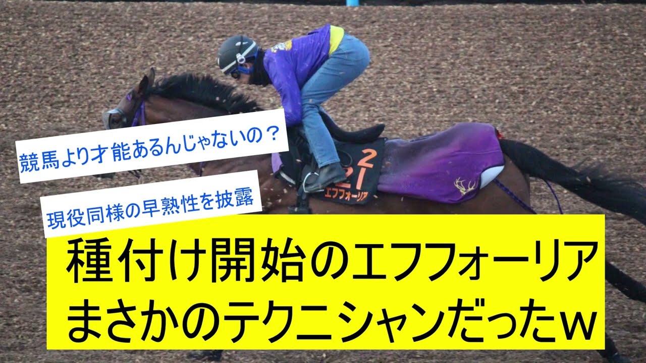 【競馬反応集】エフフォーリアの種付けが上手だったに対するみんなの反応