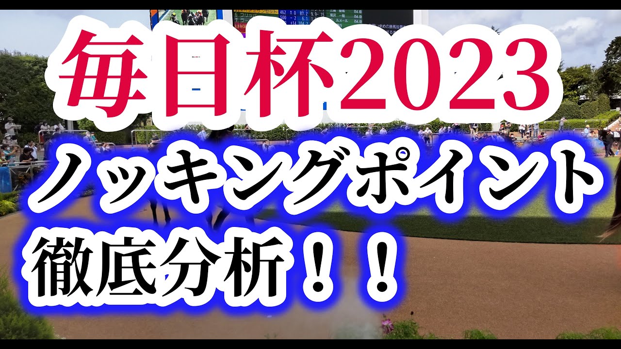 【ノッキングポイント】【毎日杯2023】レース回顧とデータ分析で徹底分析！！