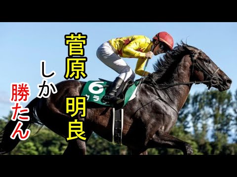 菅原明良しか勝たん