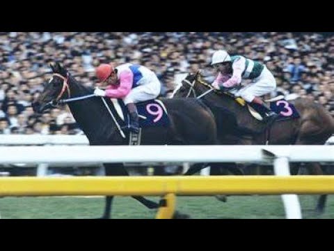 第４５回　優駿牝馬（オークス） （ＧⅠ）　トウカイローマン　牝３　55　岡冨俊一　1984.5.20　　出走馬：ダイアナソロン、ダドリアバンブー、タケムスメ、チアフルトウショウ、イズミプリンセス他