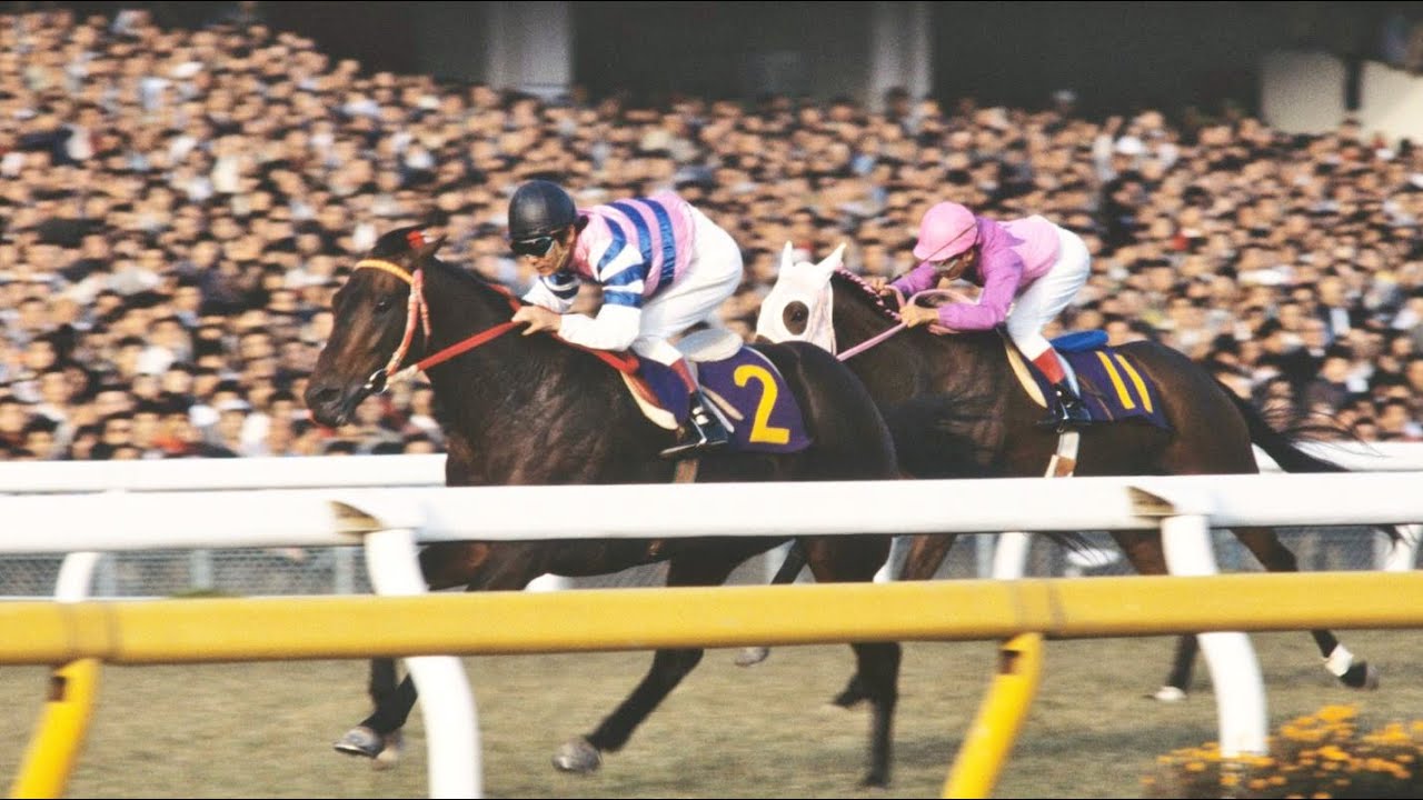 第８８回　天皇賞（秋）　キョウエイプロミス　牡６　58　柴田政人　1983.10.30　　出走馬：カミノスミレ、アンバーシャダイ、モンテファスト 、リーゼングロス 、タカラテンリュウ、ミスラディカル他