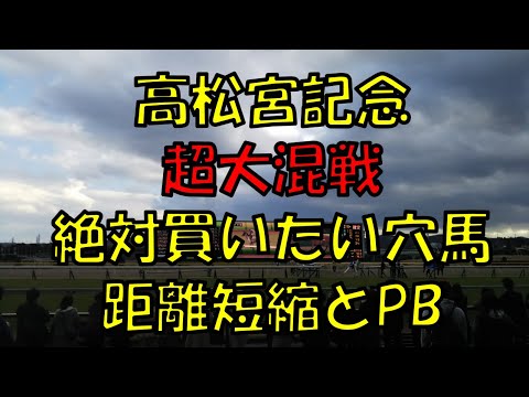 ２０２３年　高松宮記念予想【超混戦　狙いたい穴馬は　距離短縮馬と〇〇馬】