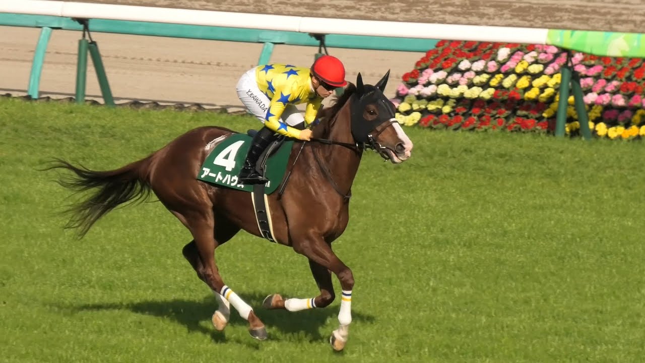 2023 03 11 中山競馬場第11レース　中山牝馬ステークス　アートハウス・スルーセブンシーズ・クリノプレミアム他