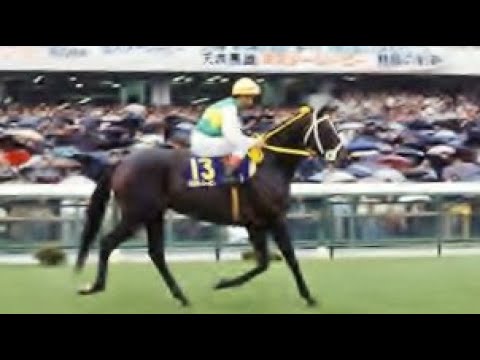 第９０回　天皇賞（秋） （ＧⅠ）　ミスターシービー　牡４　58　吉永正人　1984.10.28　出走馬：テュデナムキング、ロンググレイス、トウショウペガサス、カツラギエース、サンオーイ、スズカコバン他