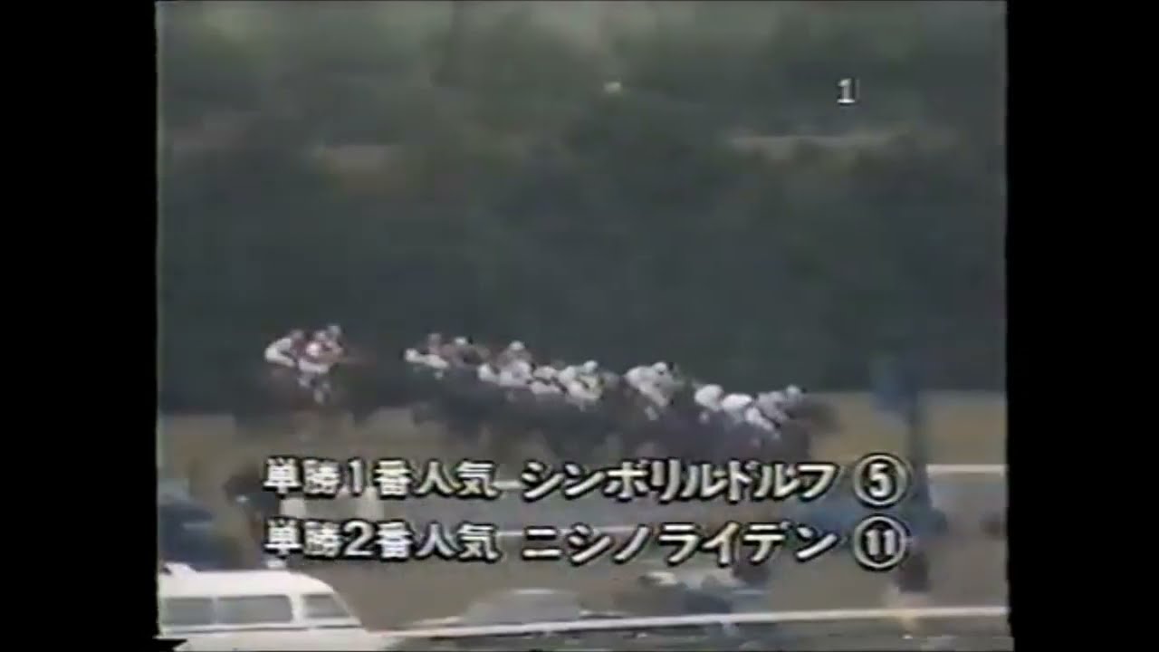 第４５回　菊花賞 （ＧⅠ）　シンボリルドルフ　牡３　57　岡部幸雄　1984.11.11　　出走馬：ゴールドウェイ、ニシノライデン、スズマッハ、フォスターソロン、ハーバークラウン、マチカネホンドーリ他