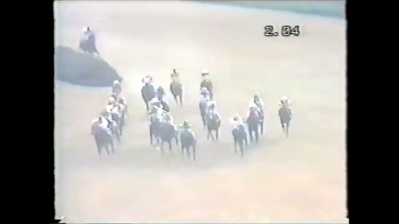 第９回　エリザベス女王杯 （ＧⅠ）　キョウワサンダー　牝３　55　樋口弘　1984.11.4　　出走馬：キクノペガサス、ダイアナソロン、トウカイローマン、カミモリレディー、ジムベルグ、ロングレザー他