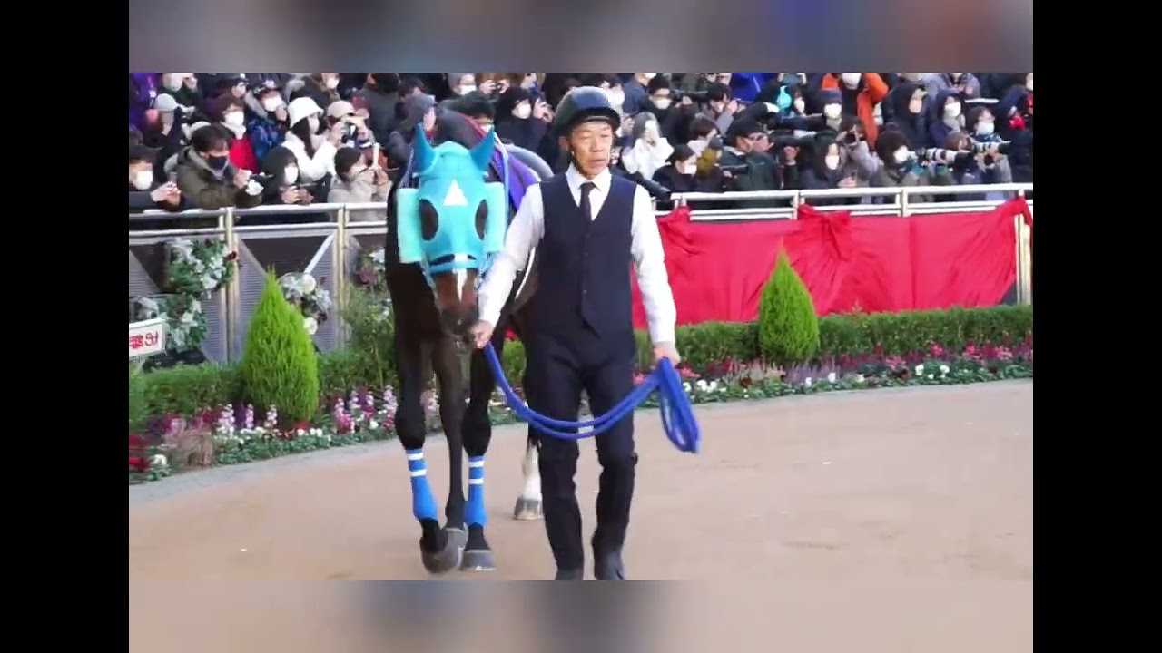 オジュウチョウサン現役最後の中山大賞害パドックからゴールまで密着しました
