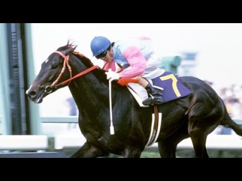 第２５回　宝塚記念 （ＧⅠ）　カツラギエース　牡４　56　西浦勝一　1984.6.3　　出走馬：スズカコバン、グローバルダイナ、ミサキネバアー、ヤマノシラギク、シャダイソフィア、ホリスキー他
