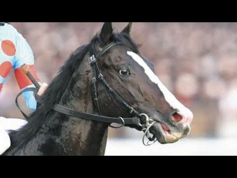 [競馬MAD]イクイノックスの軌跡 [天秤 -Libra-]