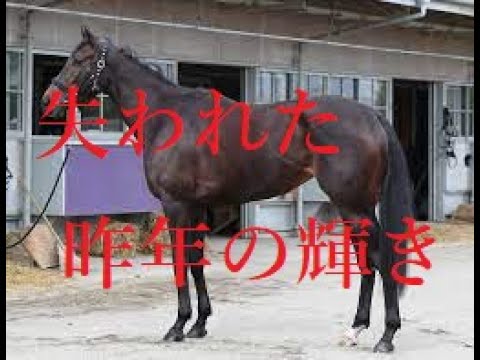 大阪杯 2023 牝馬の不調は突如くる スターズオンアース・ガラスの脚元 ジェラルディーナ・昨秋の勢いに陰り