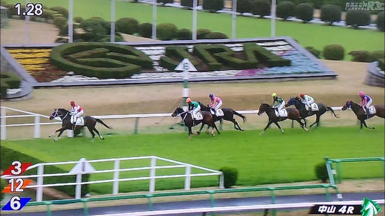 中山4レース障害未勝利 ショウナンアストラ
