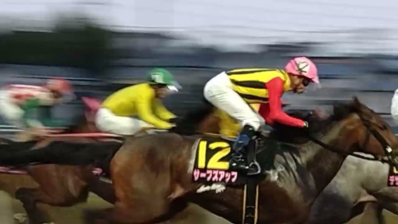 @user-nj9yh8qi1f #桜花賞2023 サーフズアップ号　#御神本訓史騎手　早め先頭にち勝利かと思われたがメイドイットマム号　#本橋孝太騎手 に差される　本橋孝太騎手勝利　#完全版