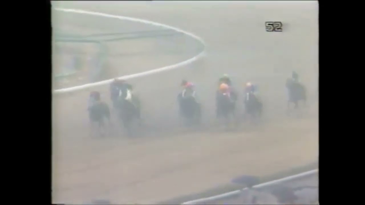 第１９回　スプリンターズステークス （ＧⅢ）　マルタカストーム　牡４　54　菅原泰夫　1985.3.17　出走馬：ゴステロ 、ノーザンキーラー、サーペンスール、ヒダショウウン、シンウルフ、キヨヒダカ他