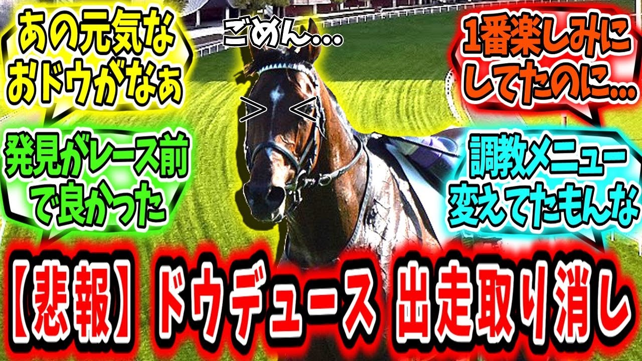 『【悲報】ドウデュース脚部不安で出走取り消し』に対するみんなの反応【競馬の反応集】