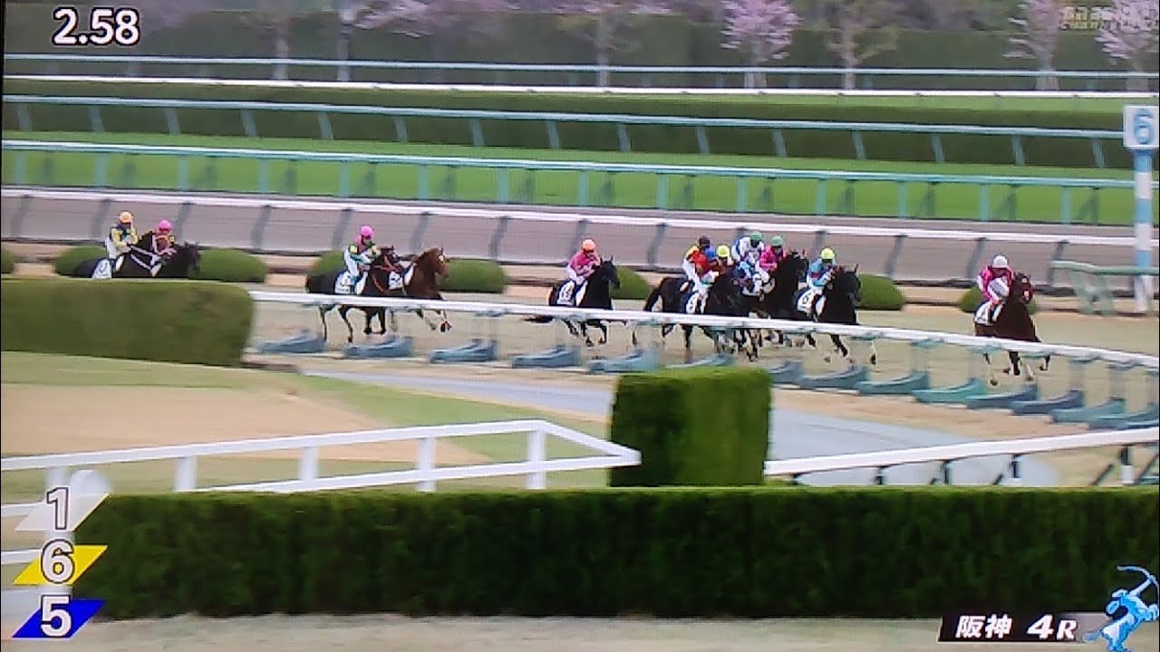 阪神4レース障害オープン マイネルグロン