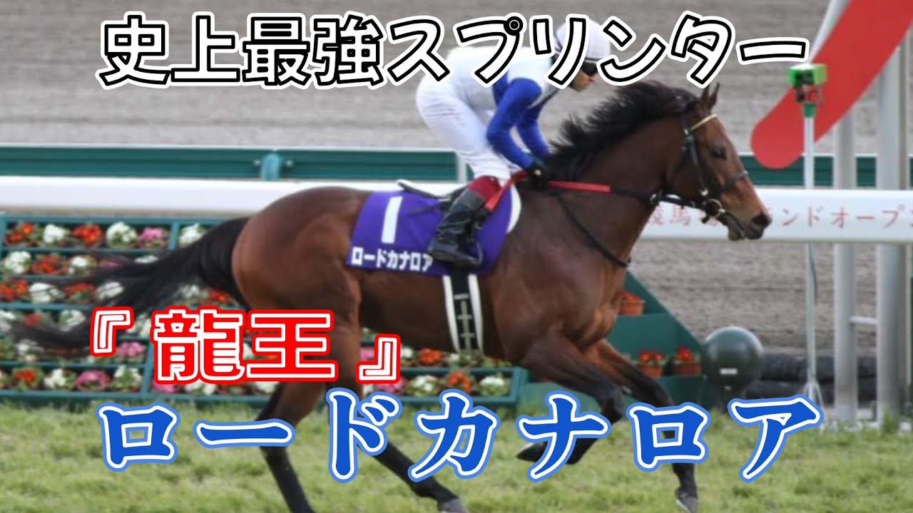 【ゆっくり解説】史上最強スプリンター " 龍王 " ロードカナロア【競馬】