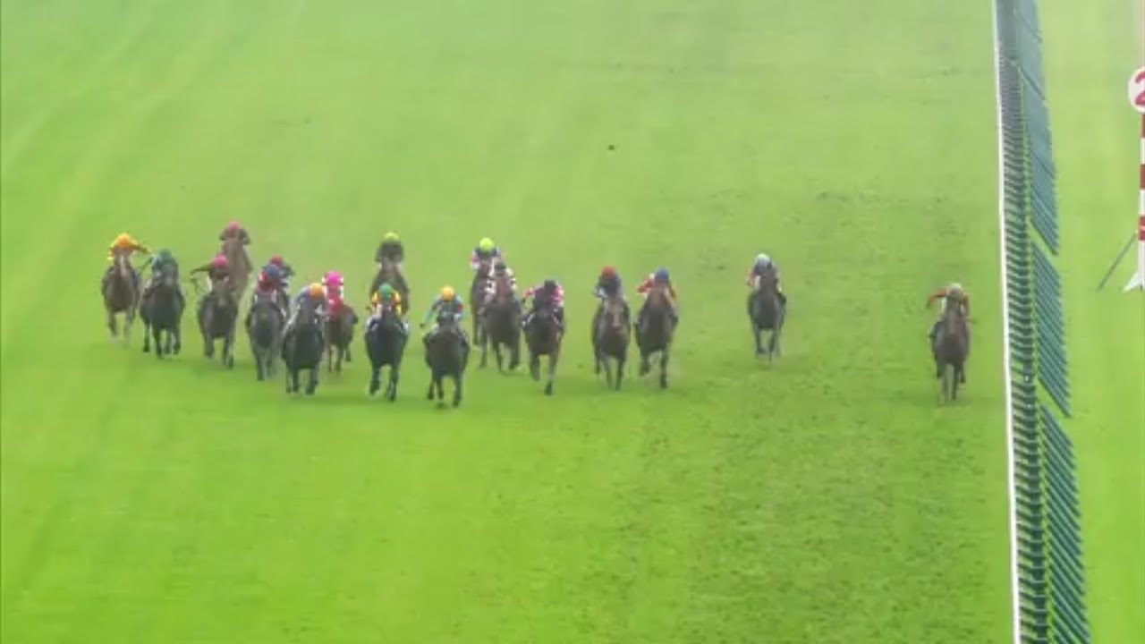 2023/03/26　中京競馬場　11R　高松宮記念　パトロールビデオ