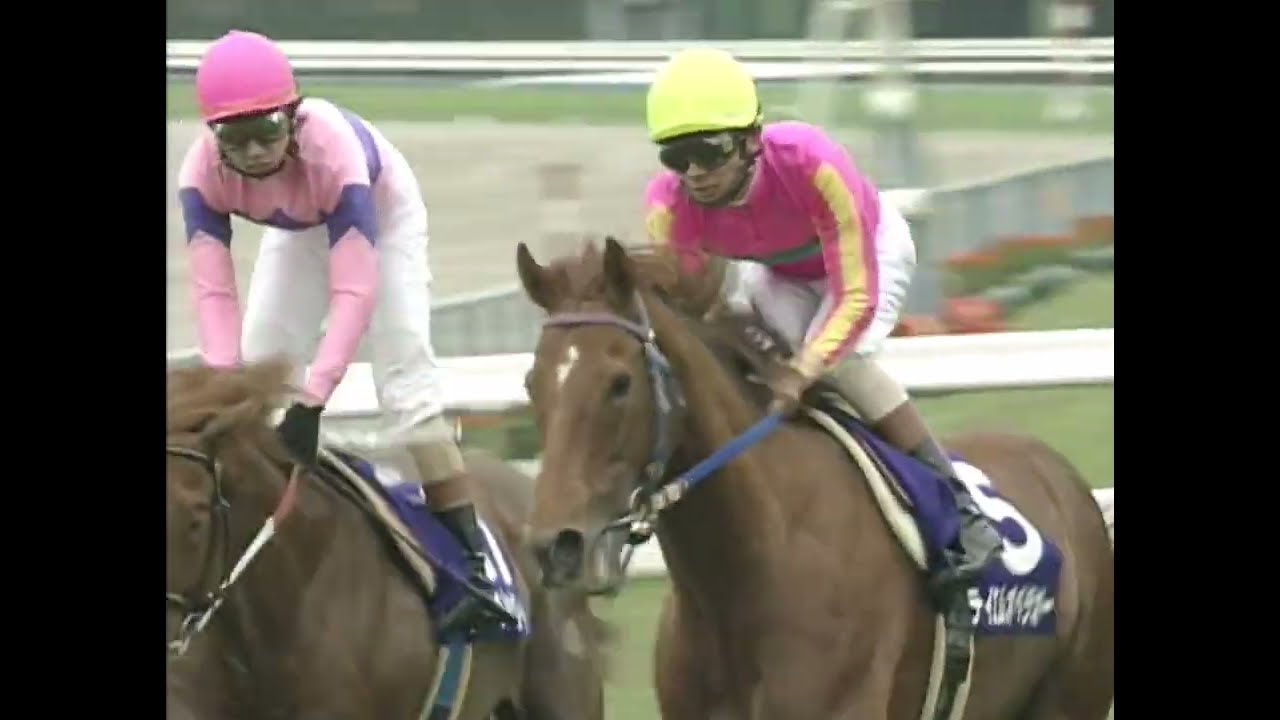 テイエムオペラオー 2000年 第121回天皇賞(春)(GI) (優勝馬：テイエムオペラオー)