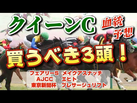【クイーンカップ2023】たった1頭○○の血を持つ馬！大混戦の東京マイル戦で潜在能力と実力を見極めろ！