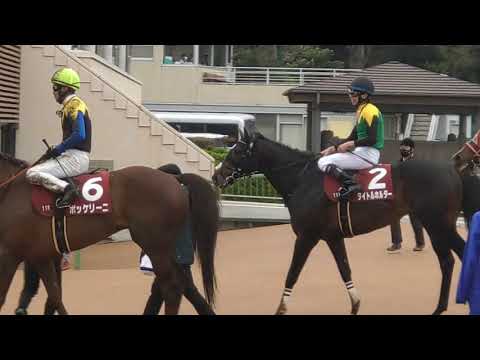 圧勝！タイトルホルダーと横山和生騎手のレース後 #タイトルホルダー #横山和生