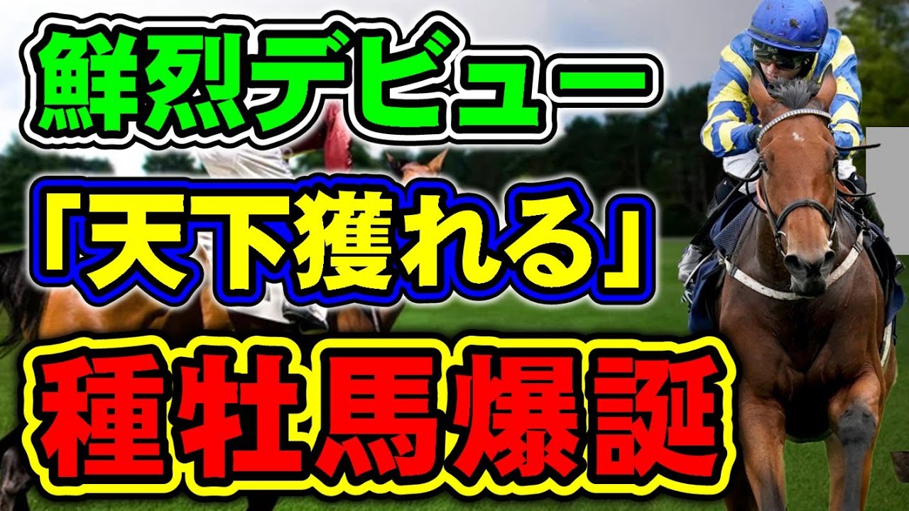 アメリカからの輸入新種牡馬に種付け殺到!?驚異の産駒成績と人気の理由