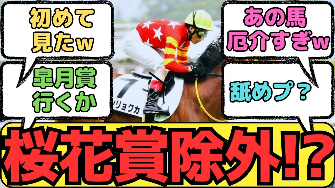 『【悲報】桜花賞直行のシンリョクカ、除外対象』に対するファンの反応！