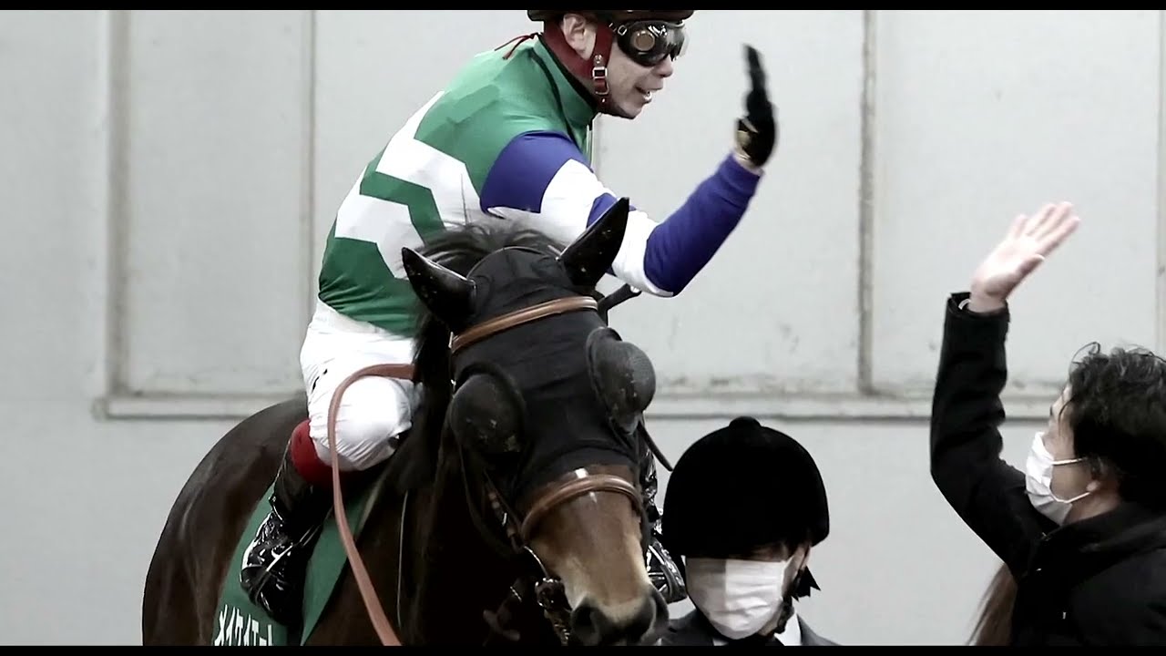 なかなか勝てない馬がいる メイケイエール JRA風CM