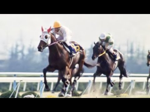 第８９回　天皇賞（春）（ＧⅠ）　モンテファスト　牡６　58　吉永正人　1984.4.29　　出走馬：ミサキネバアー、ホリスキー、ダイセキテイ、ハヤテミグ、ヤマノシラギク、スズカコバン、ハシローディー他