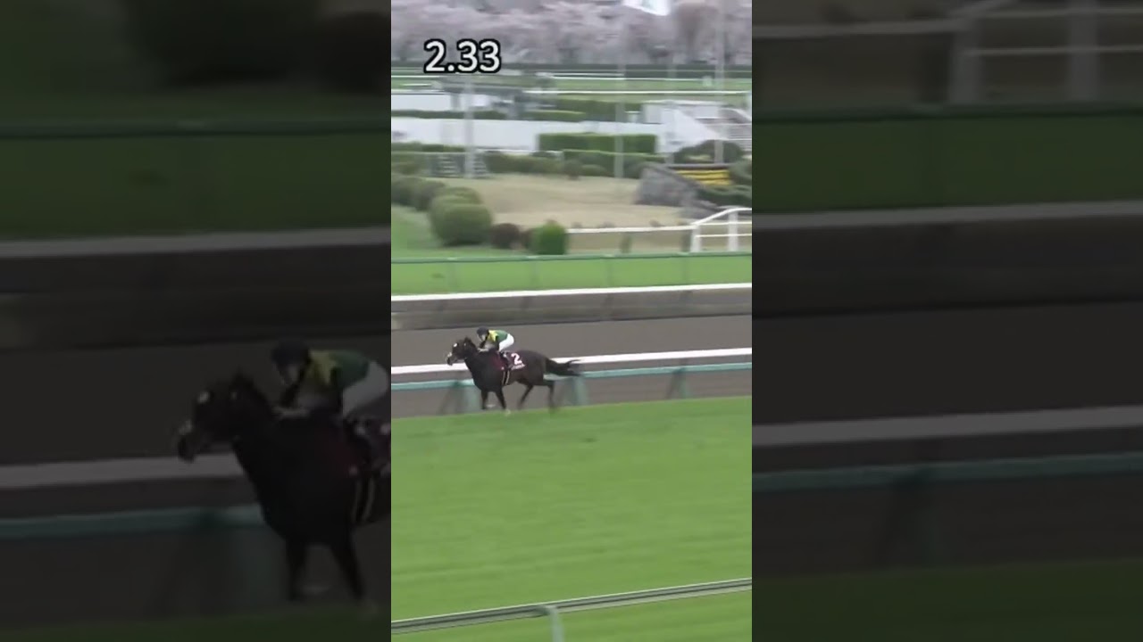 これがタイトルホルダーだ #競馬予想 #競馬 #こしゃまる #shorts #short