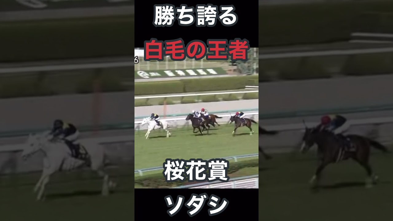勝ち誇る白毛の王者ソダシ桜花賞