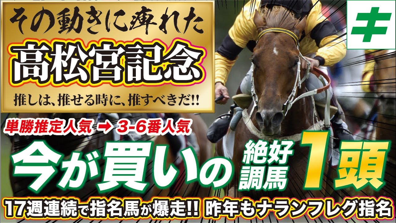 高松宮記念 2023【予想/好調教】「文句なしの仕上がり」！さあ、新スプリント王へ！
