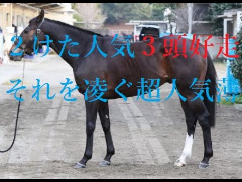 大阪杯 2023 一週前追い切り 先週は２けた人気３頭好走！！超人気薄調教推奨馬 スターズオンアース、ジェラルディーナ、ジャックドール、ヒシイグアスは物足りない動き