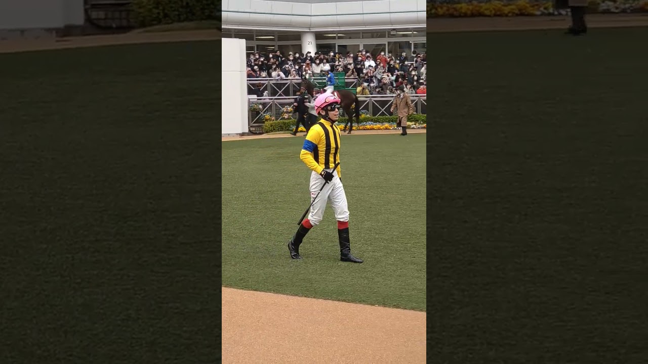 日経賞。騎乗前にヒートオンビートに話しかける池添騎手。 #中山競馬場  #shorts