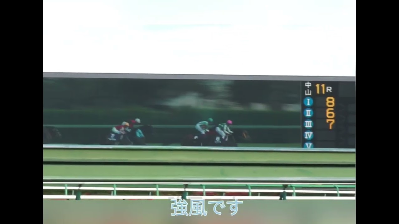 中山グランドジャンプ2022年オジュウチョウサン優勝を現地撮影