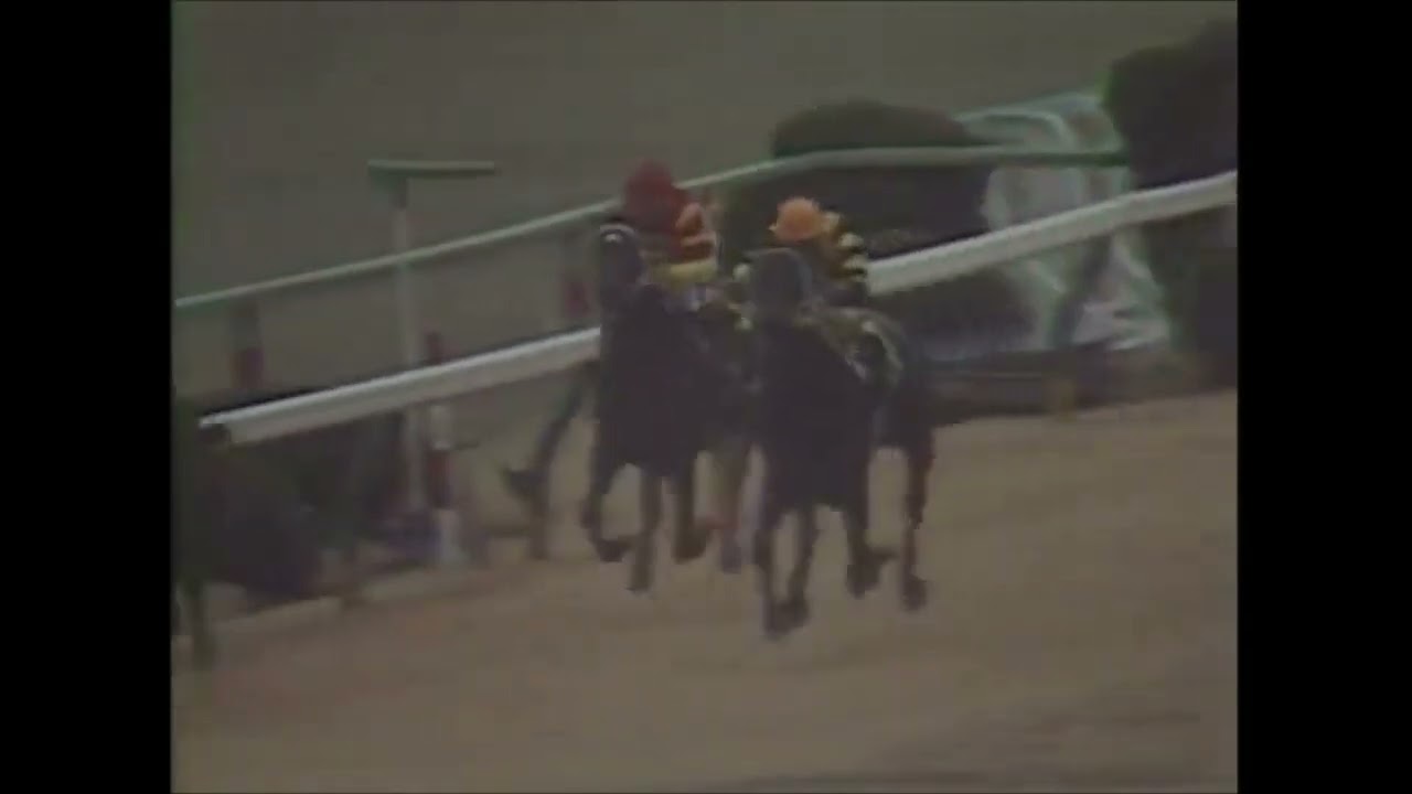 第３６回　阪神３歳ステークス （ＧⅠ）　ダイゴトツゲキ　牡２　54　稲葉的海　1984.12.6　　出走馬：マルヨプラード、マヤノファイター、イブキカネール、ワイドラッキー、ランドヒリュウ他