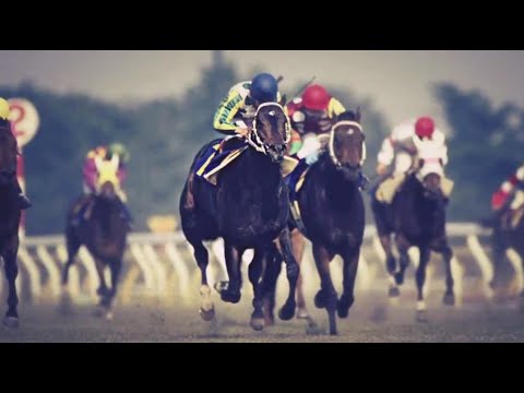 第３５回　安田記念 （ＧⅠ）　ニホンピロウイナー　牡５　57　河内洋　1985.5.12　　出走馬：スズマッハ、マルタカストーム、ギャロップダイナ、ダスゲニー、サンオーイ、キングハイセイコー他