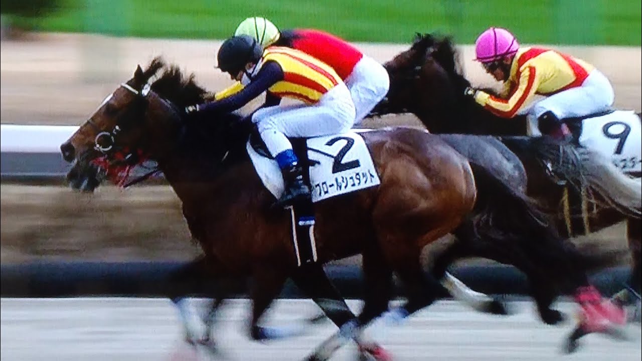 中山4レース障害未勝利 フロールシュタット